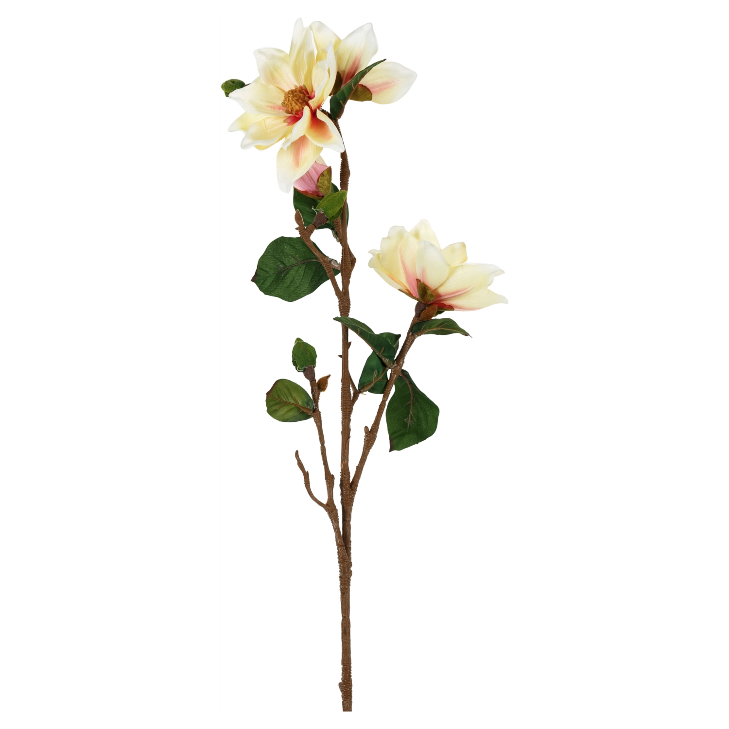 MAGNOLIA YULAN BEJ DAL ÇİÇEK- 101CM