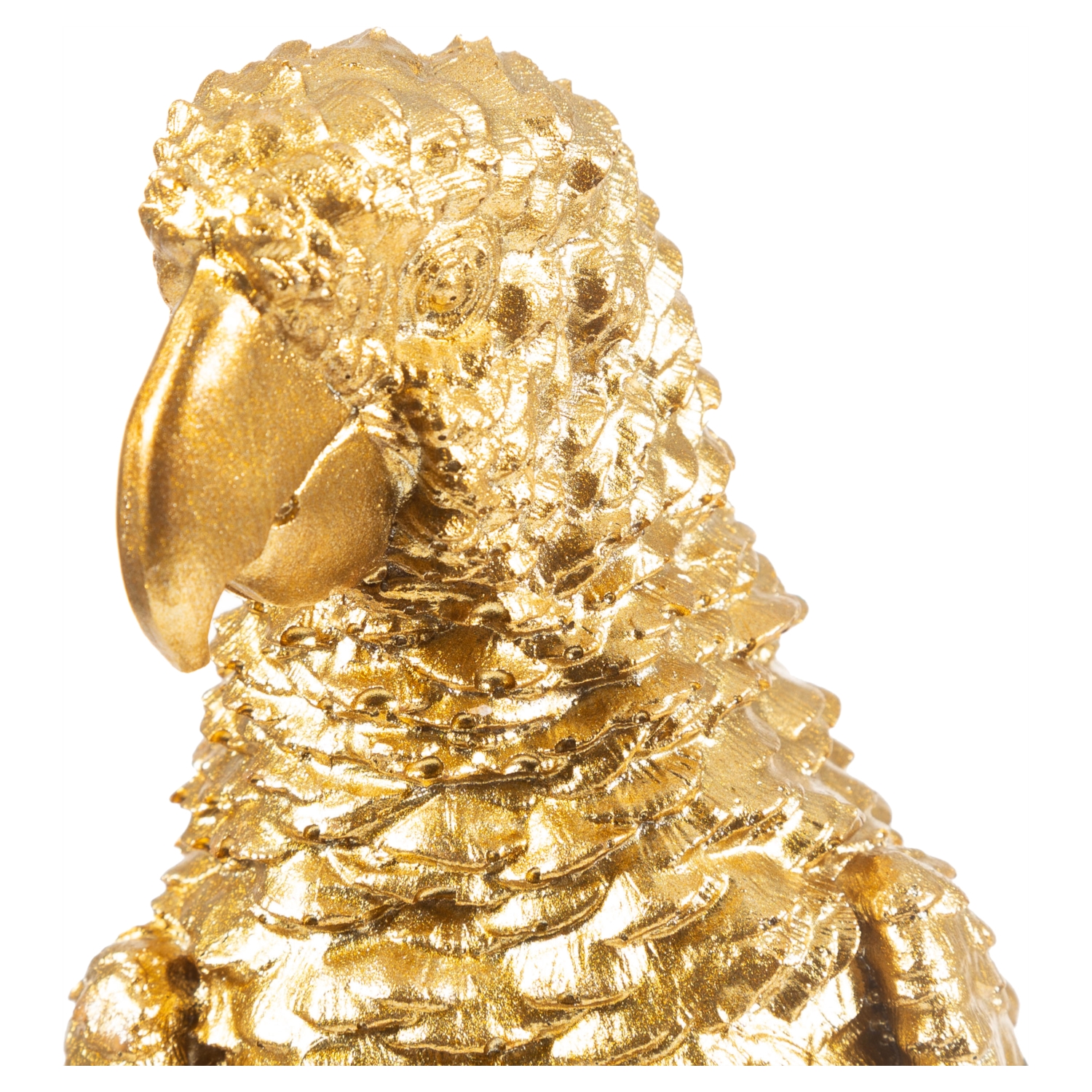 PAPAĞAN BİBLO 45CM