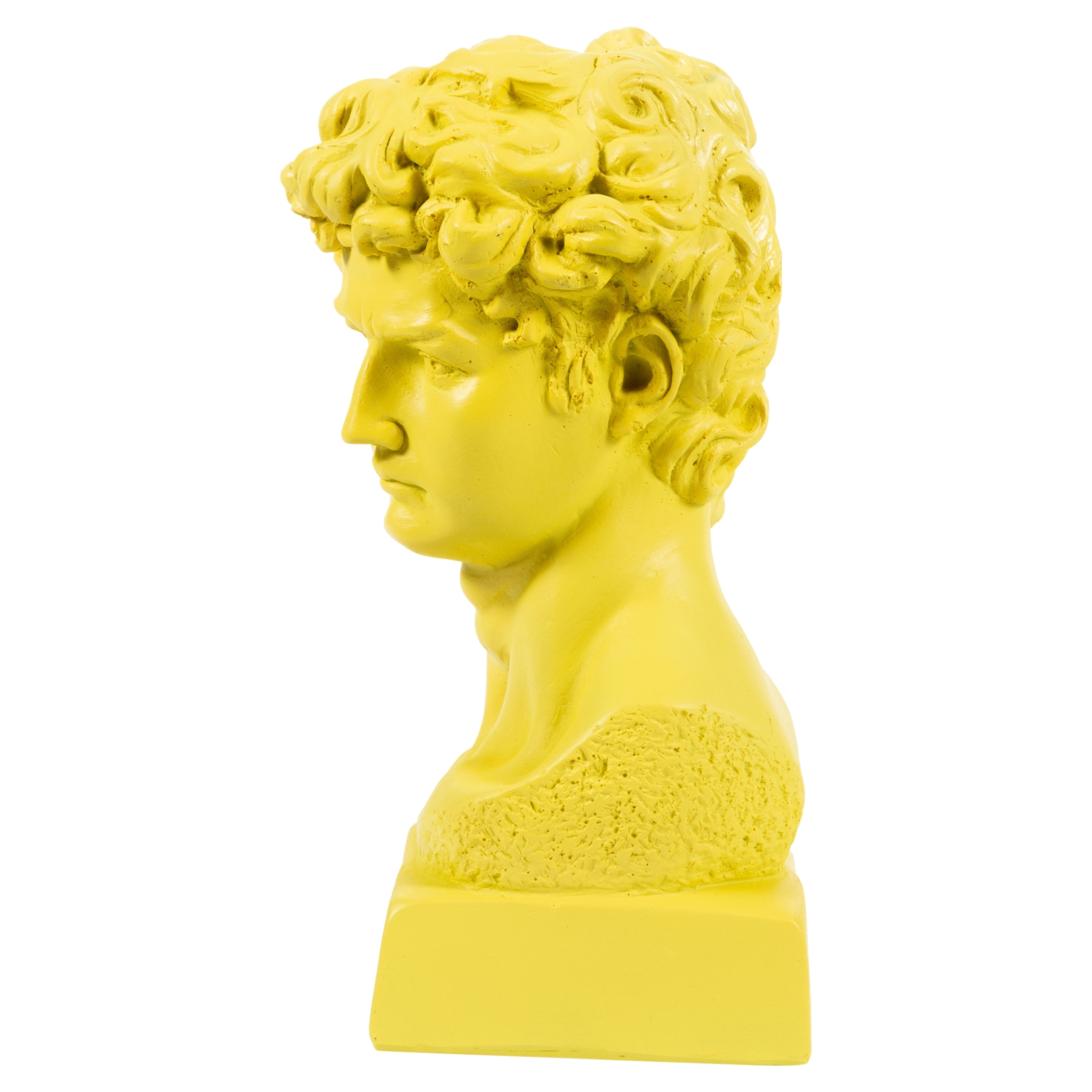 DAVİD SARI BÜST BİBLO