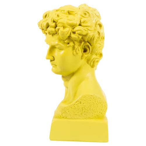  DAVİD SARI BÜST BİBLO