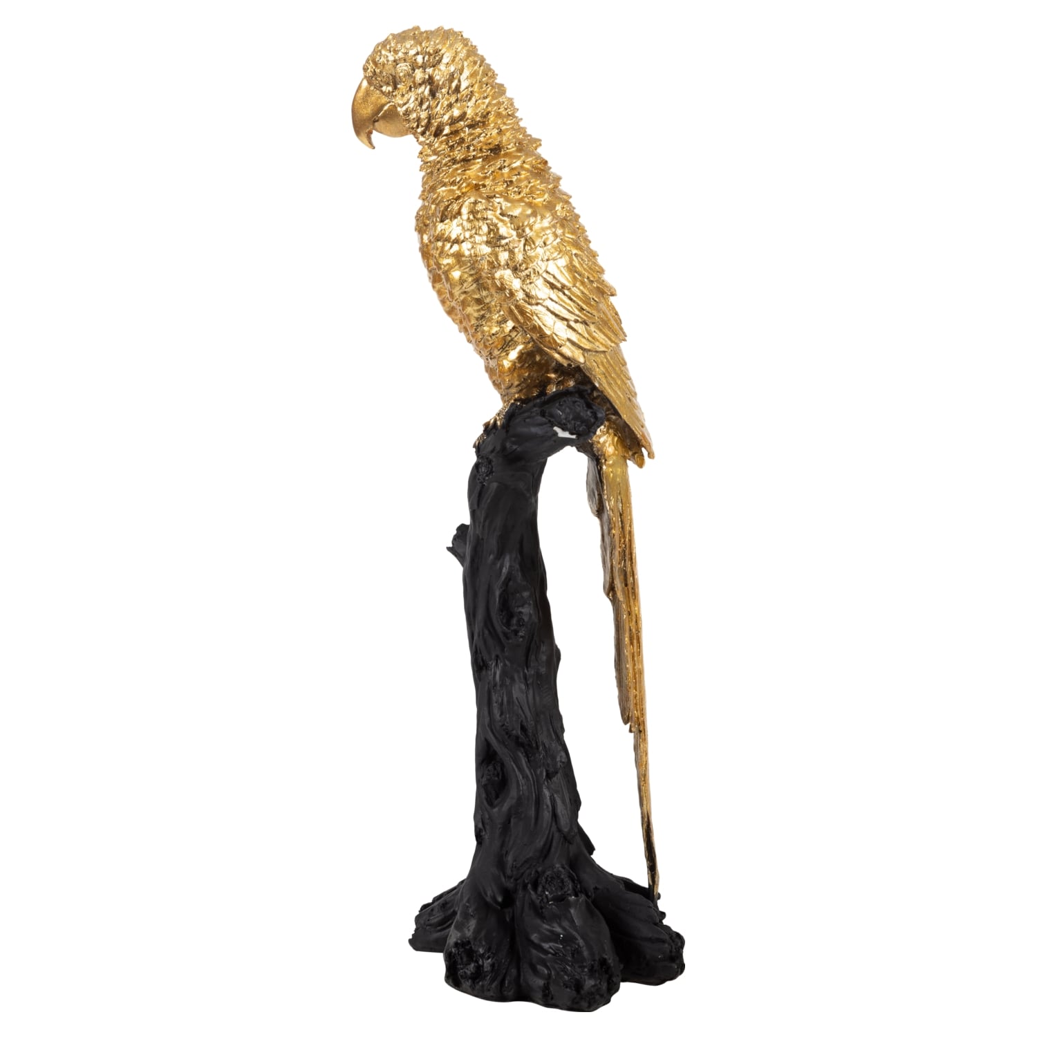 PAPAĞAN BİBLO 45CM