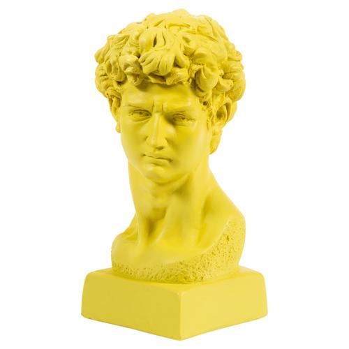  DAVİD SARI BÜST BİBLO