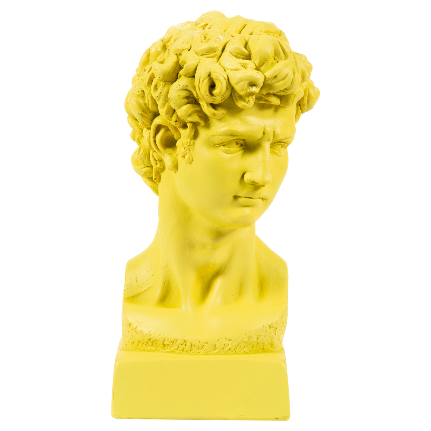 DAVİD SARI BÜST BİBLO