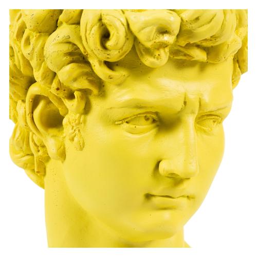  DAVİD SARI BÜST BİBLO