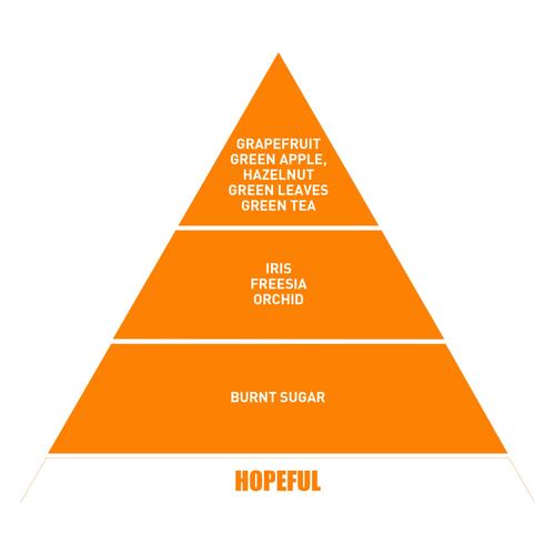  BE IN A GOOD MOOD DIFFUSER SWEET PEACH