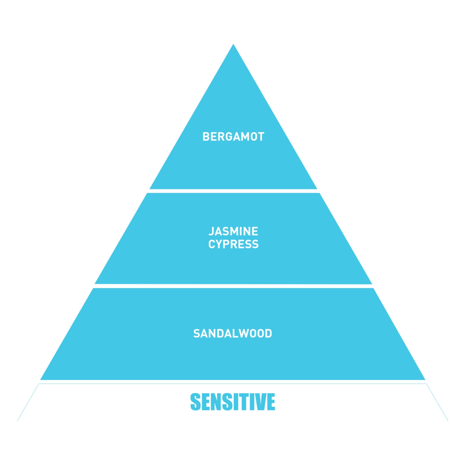 BE IN A GOOD MOOD DIFFUSER BLUE MOON ODA KOKUSU