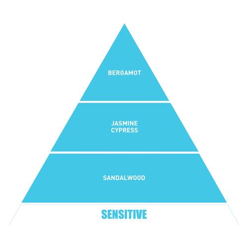  BE IN A GOOD MOOD DIFFUSER BLUE MOON ODA KOKUSU