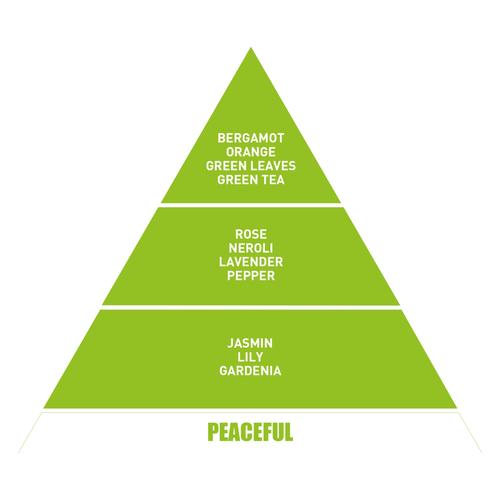  BE IN A GOOD MOOD DIFFUSER GREEN TEA ODA KOKUSU