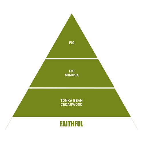  BE IN A GOOD MOOD DIFFUSER İNCİR ODA KOKUSU