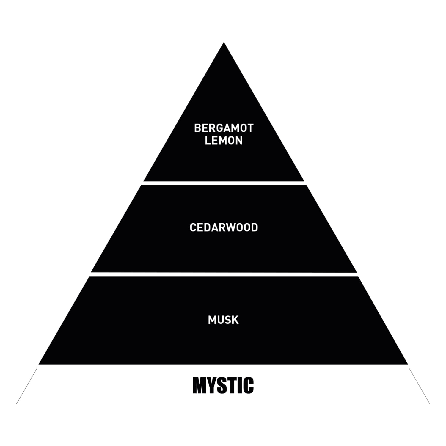 BE IN A GOOD MOOD DIFFUSER BLACK MUSK ODA KOKUSU