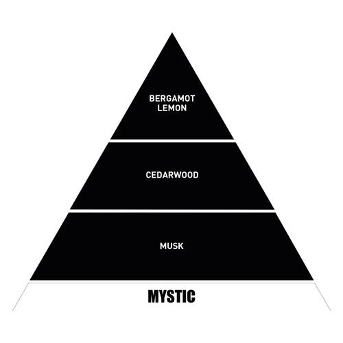  BE IN A GOOD MOOD DIFFUSER BLACK MUSK ODA KOKUSU