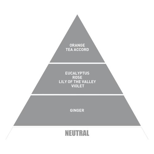  BE IN A GOOD MOOD DIFFUSER BERGAMOT ODA KOKUSU