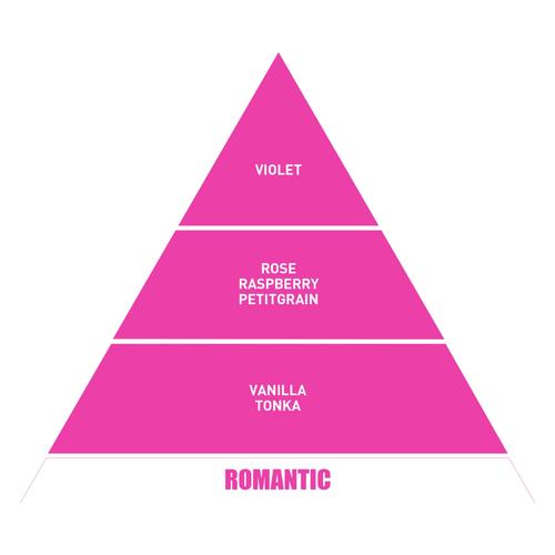  BE IN A GOOD MOOD DIFFUSER PEMBE MENEKŞE ODA KOKUSU