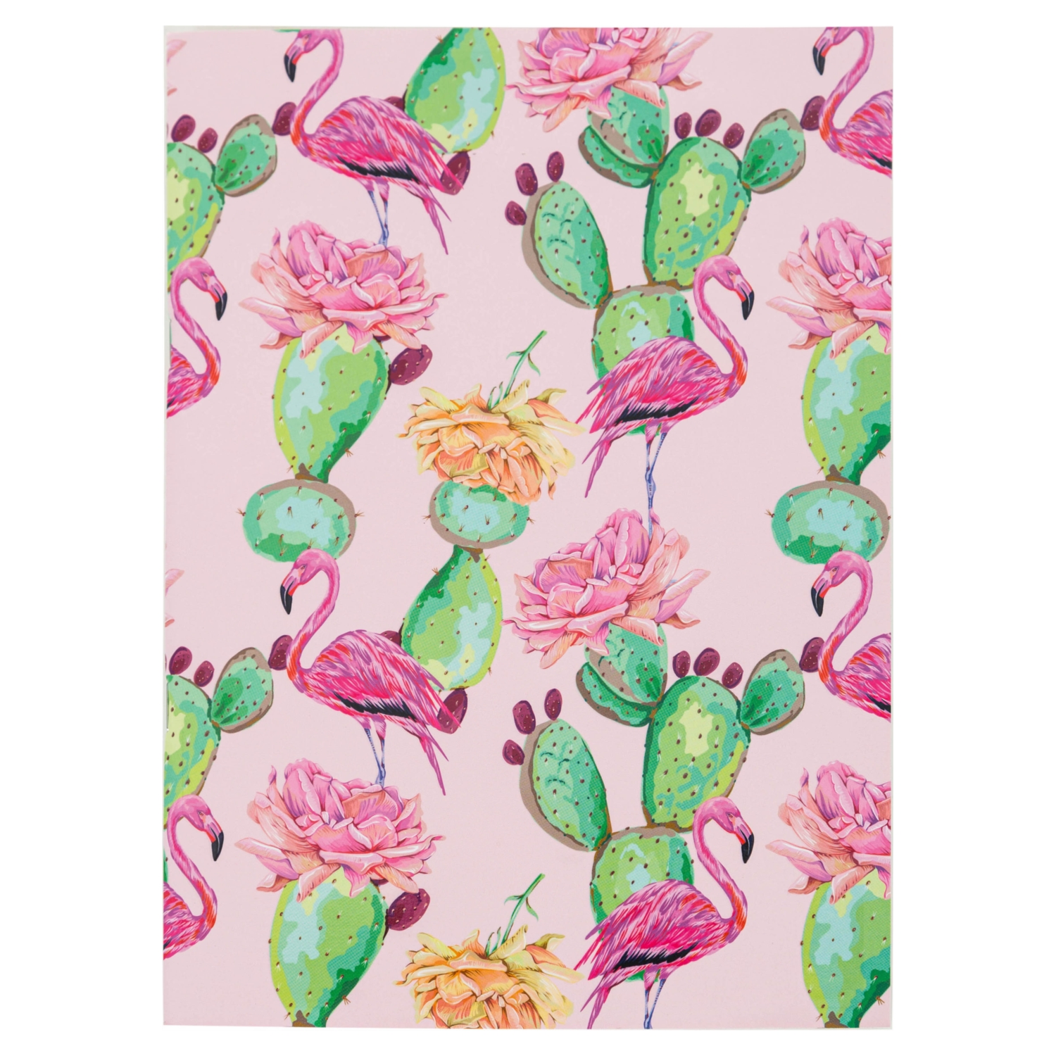 KAKTÜS BÜYÜK DEFTER