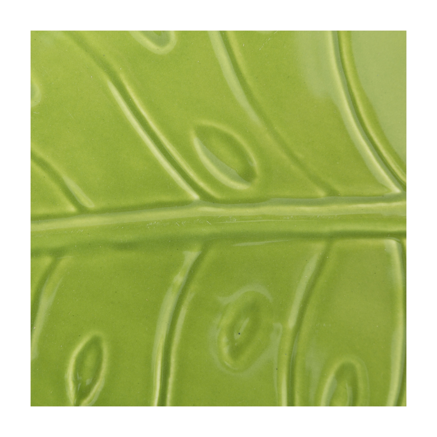 MONSTERA PASTA TABAĞI - FISTIK YEŞİLİ