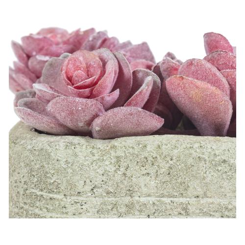  SAKSILI YAPAY PEMBE SUKULENT 12CM