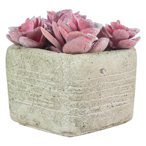  SAKSILI YAPAY PEMBE SUKULENT 12CM