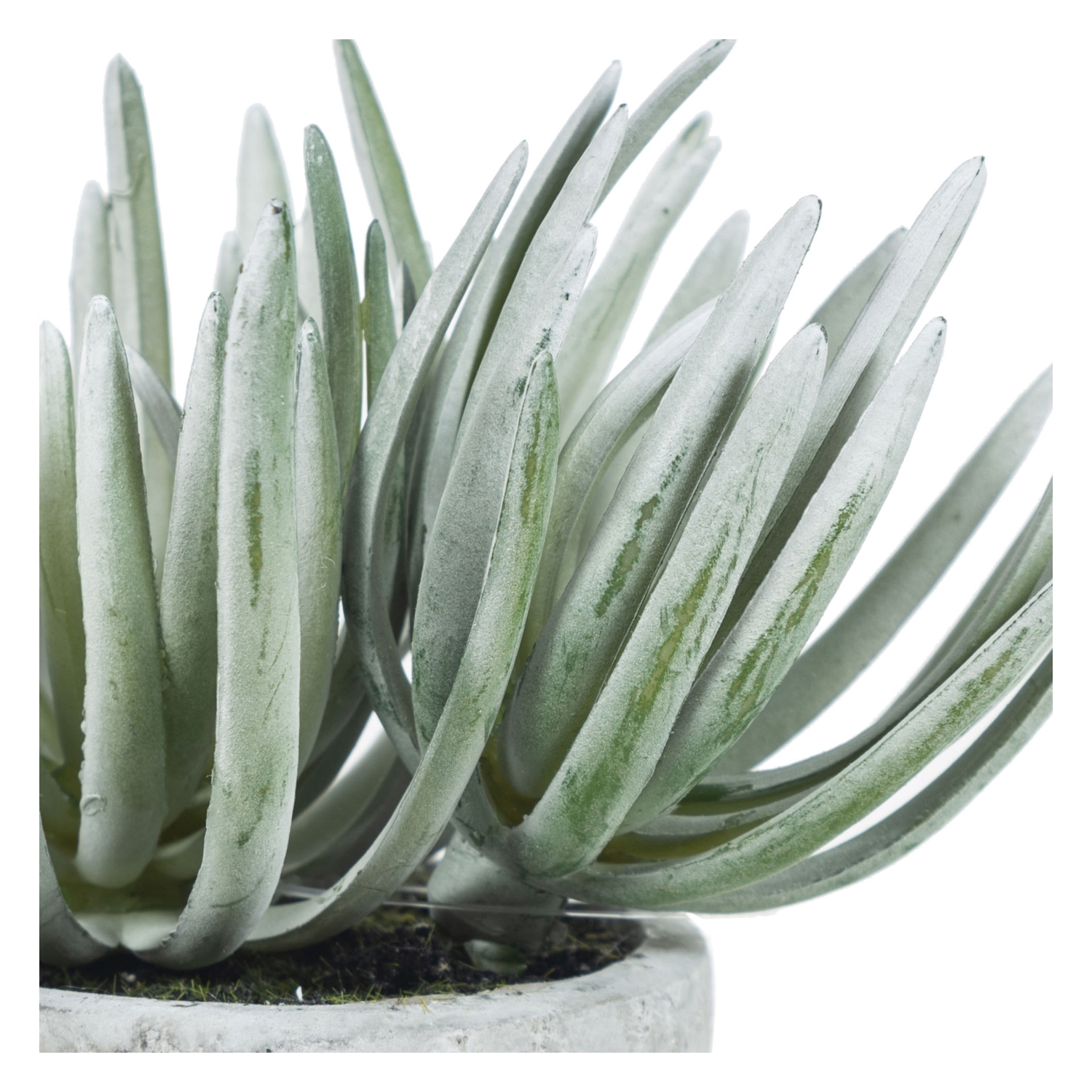 SAKSILI YAPAY ALEOVERA 15CM