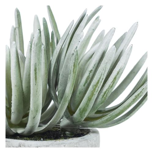  SAKSILI YAPAY ALEOVERA 15CM