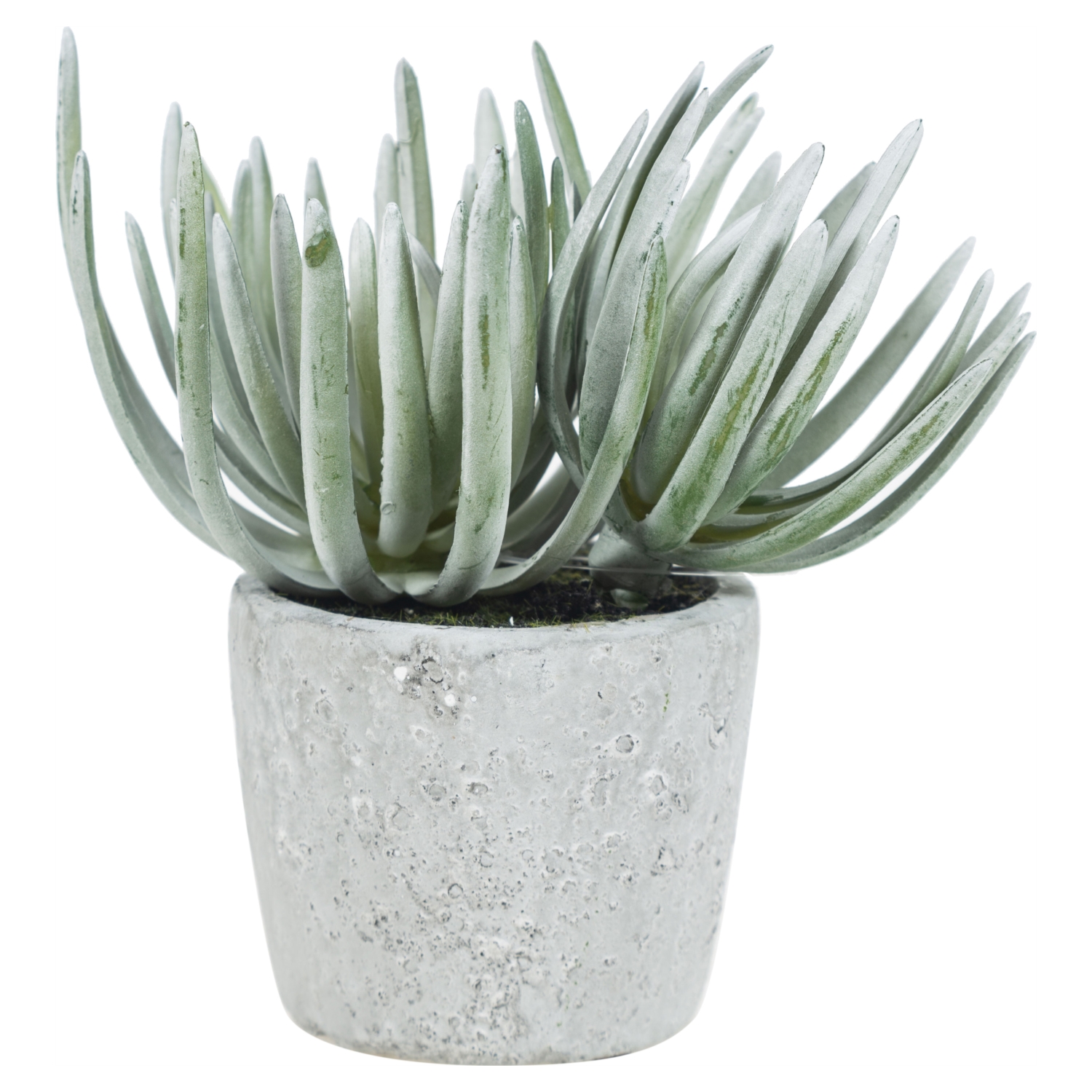 SAKSILI YAPAY ALEOVERA 15CM