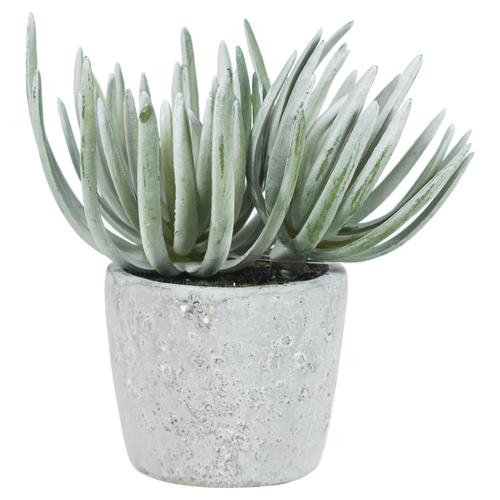  SAKSILI YAPAY ALEOVERA 15CM