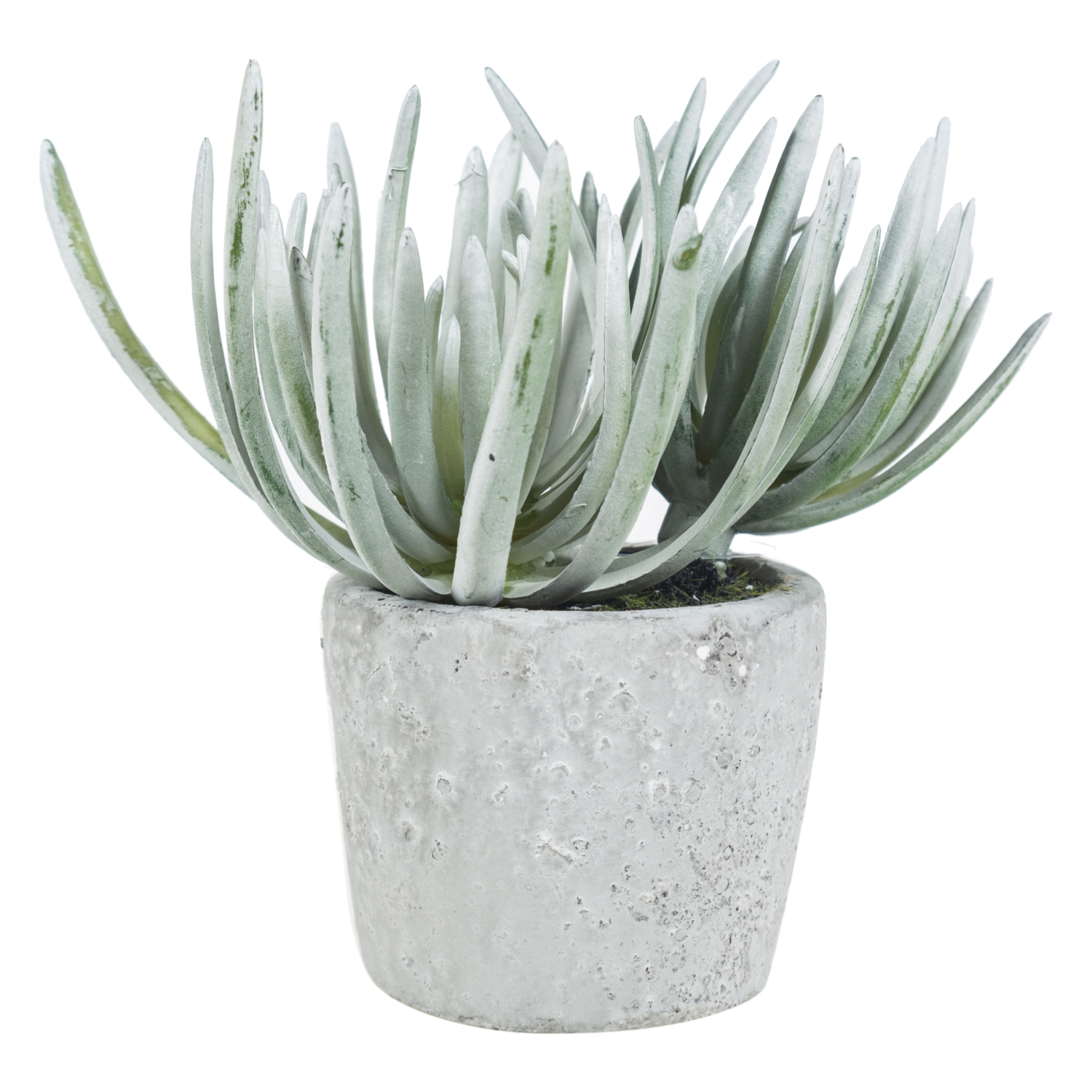 SAKSILI YAPAY ALEOVERA 15CM