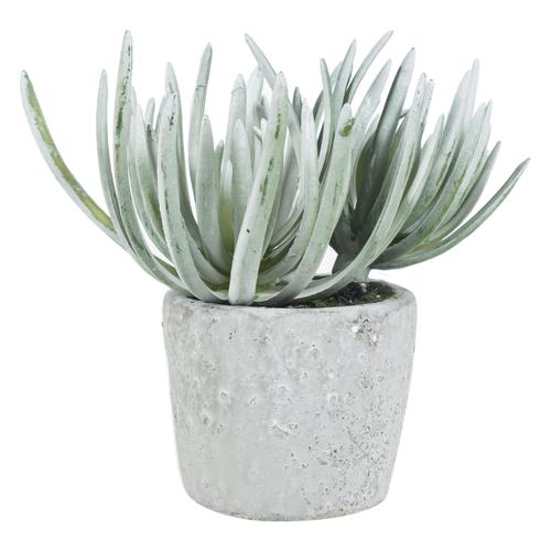  SAKSILI YAPAY ALEOVERA 15CM