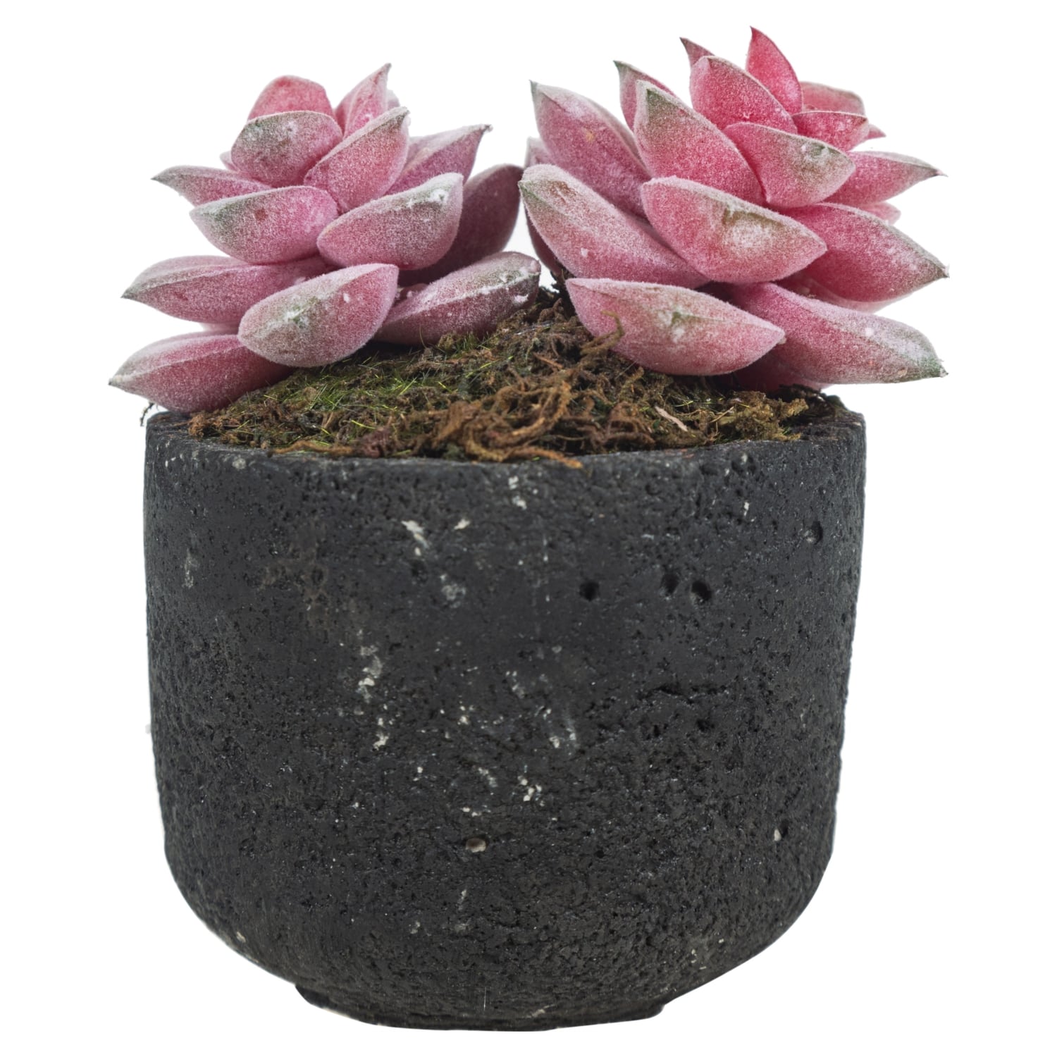 SAKSILI YAPAY PEMBE SUKULENT 13CM