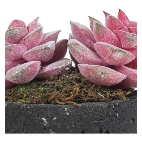  SAKSILI YAPAY PEMBE SUKULENT 13CM