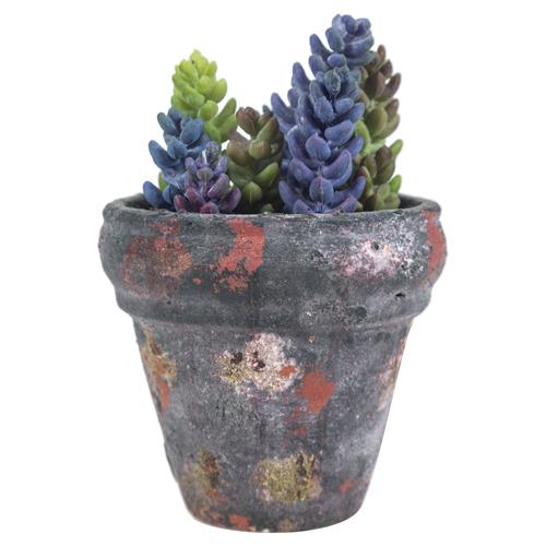  SAKSILI YAPAY JELLY BEAN SUKULENT 17CM