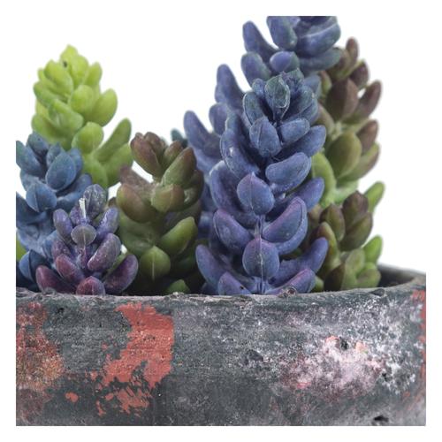  SAKSILI YAPAY JELLY BEAN SUKULENT 17CM