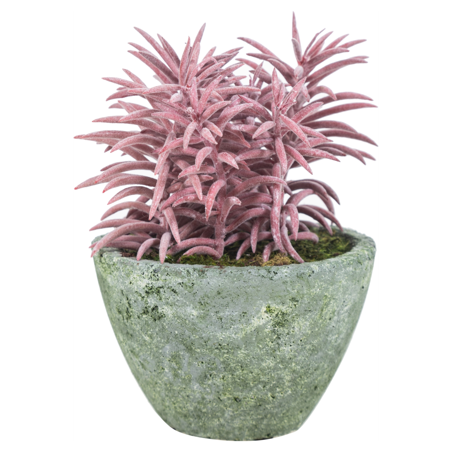 SAKSILI YAPAY CRASSULA SUKULENT 18CM