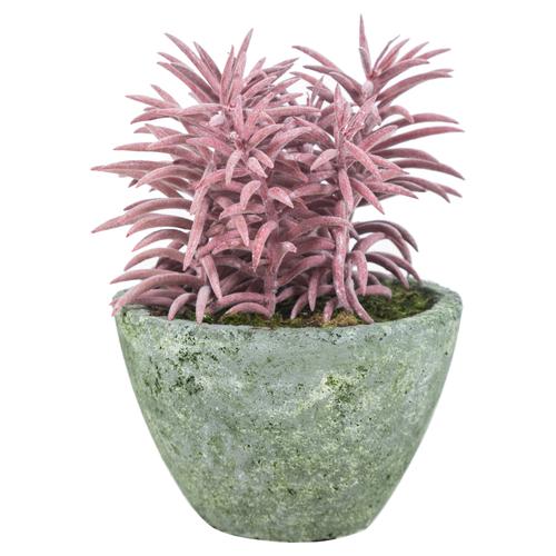  SAKSILI YAPAY CRASSULA SUKULENT 18CM