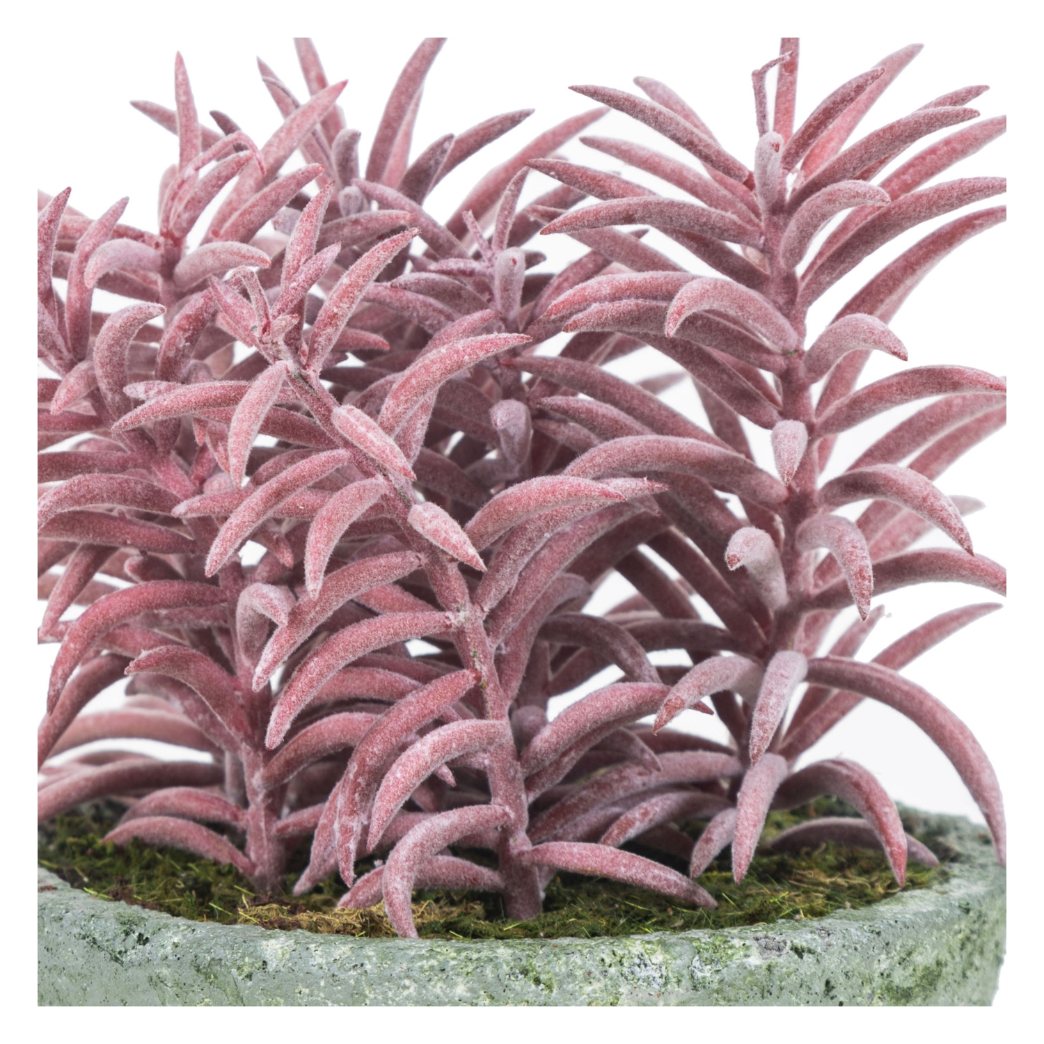 SAKSILI YAPAY CRASSULA SUKULENT 18CM