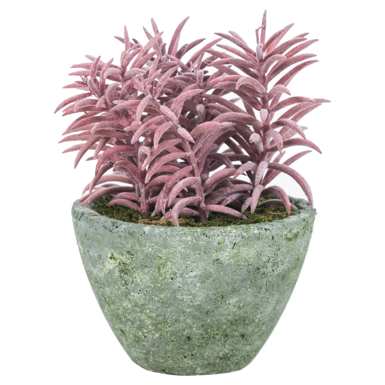 SAKSILI YAPAY CRASSULA SUKULENT 18CM