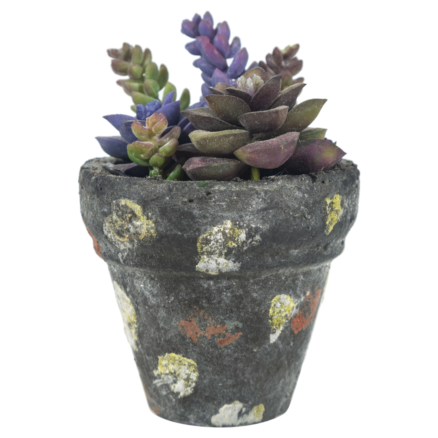 SAKSILI YAPAY JELLY BEAN  SUKULENT 16CM