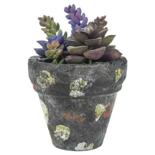  SAKSILI YAPAY JELLY BEAN  SUKULENT 16CM