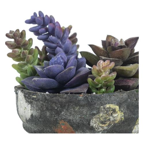  SAKSILI YAPAY JELLY BEAN  SUKULENT 16CM