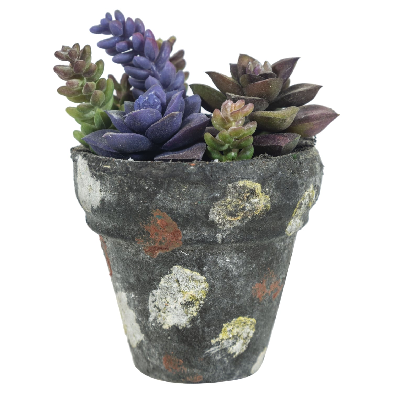 SAKSILI YAPAY JELLY BEAN  SUKULENT 16CM