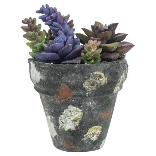  SAKSILI YAPAY JELLY BEAN  SUKULENT 16CM