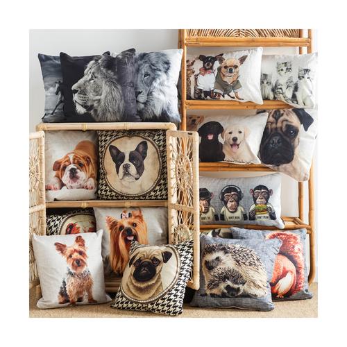  LION KIRLENT 45x45 CM