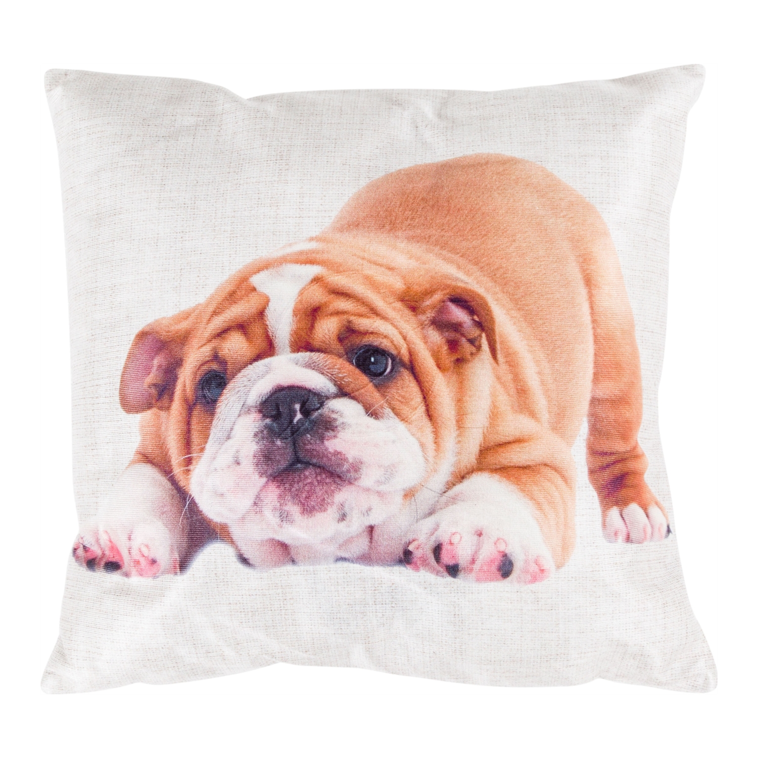 ENGLISH BULLDOG 45x45 CM