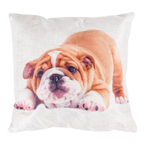  ENGLISH BULLDOG 45x45 CM