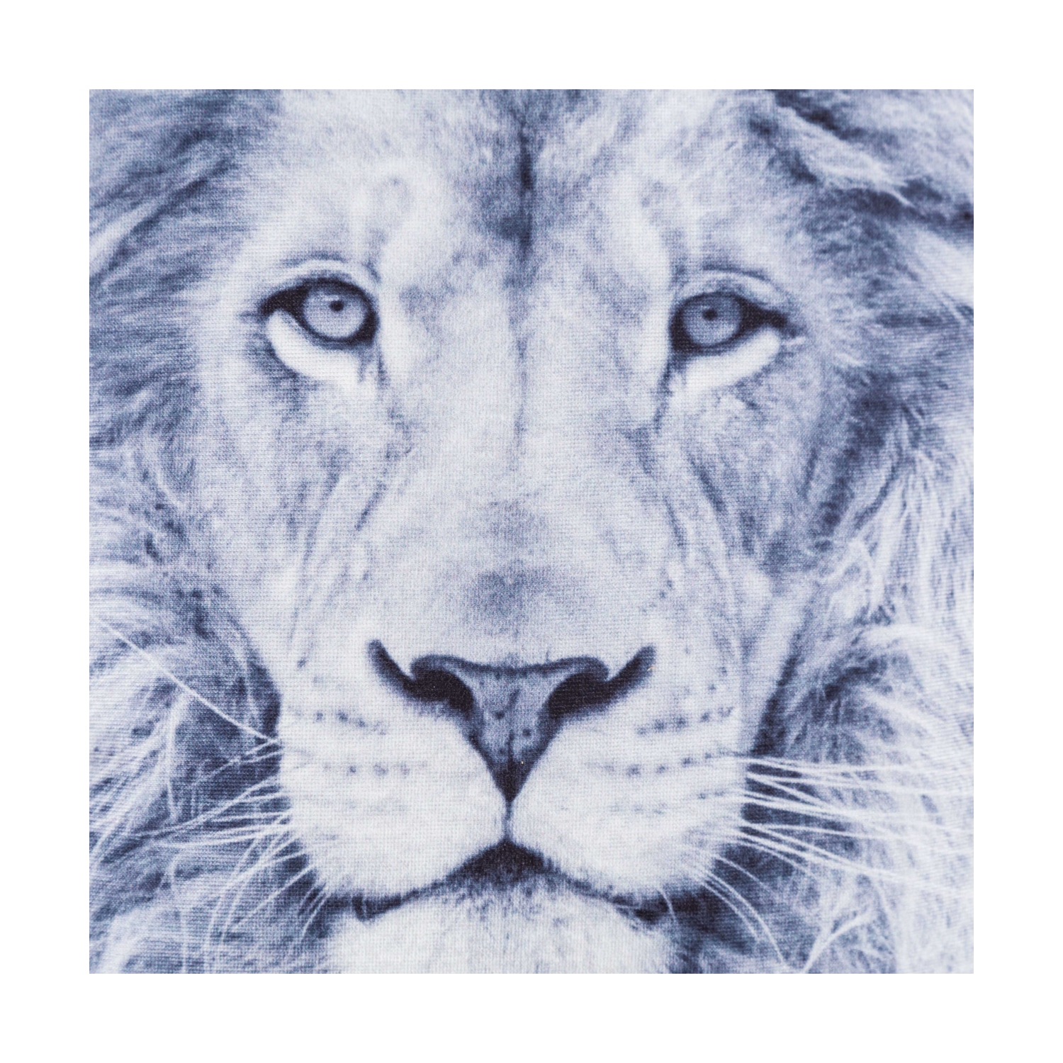 LION KIRLENT 45x45 CM