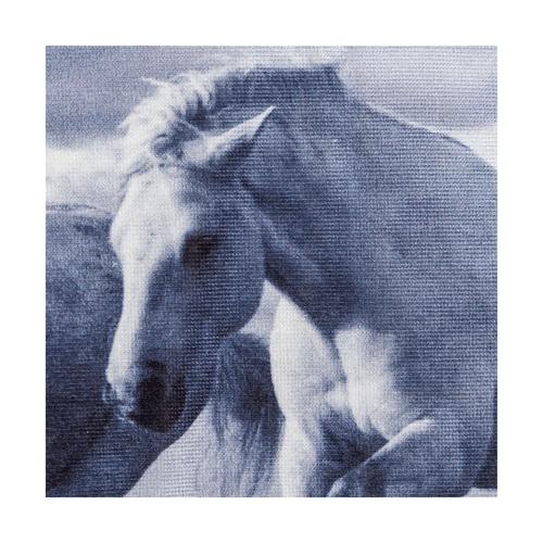  FREEDOM KIRLENT 45x45 CM