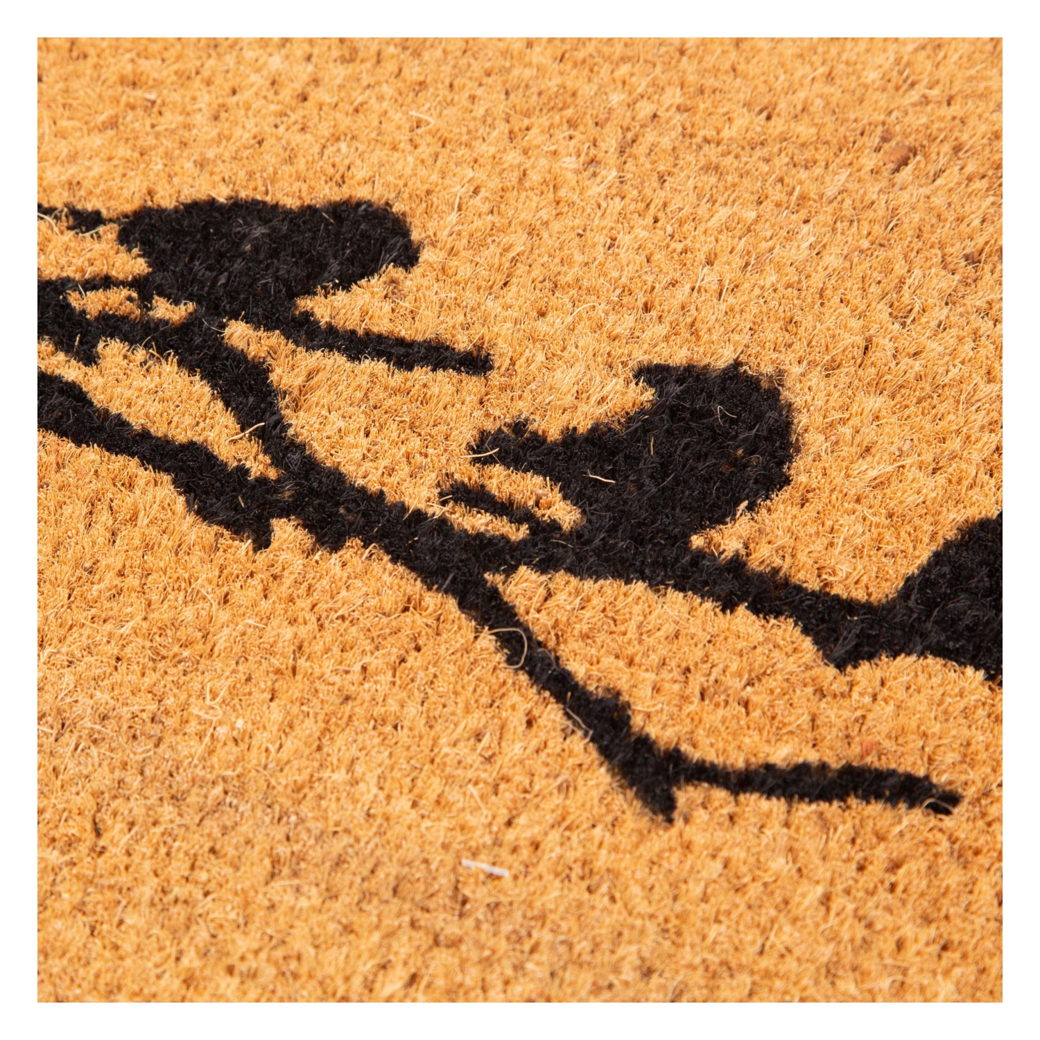 BIRD KAPI ÖNÜ PASPASI 33X55CM