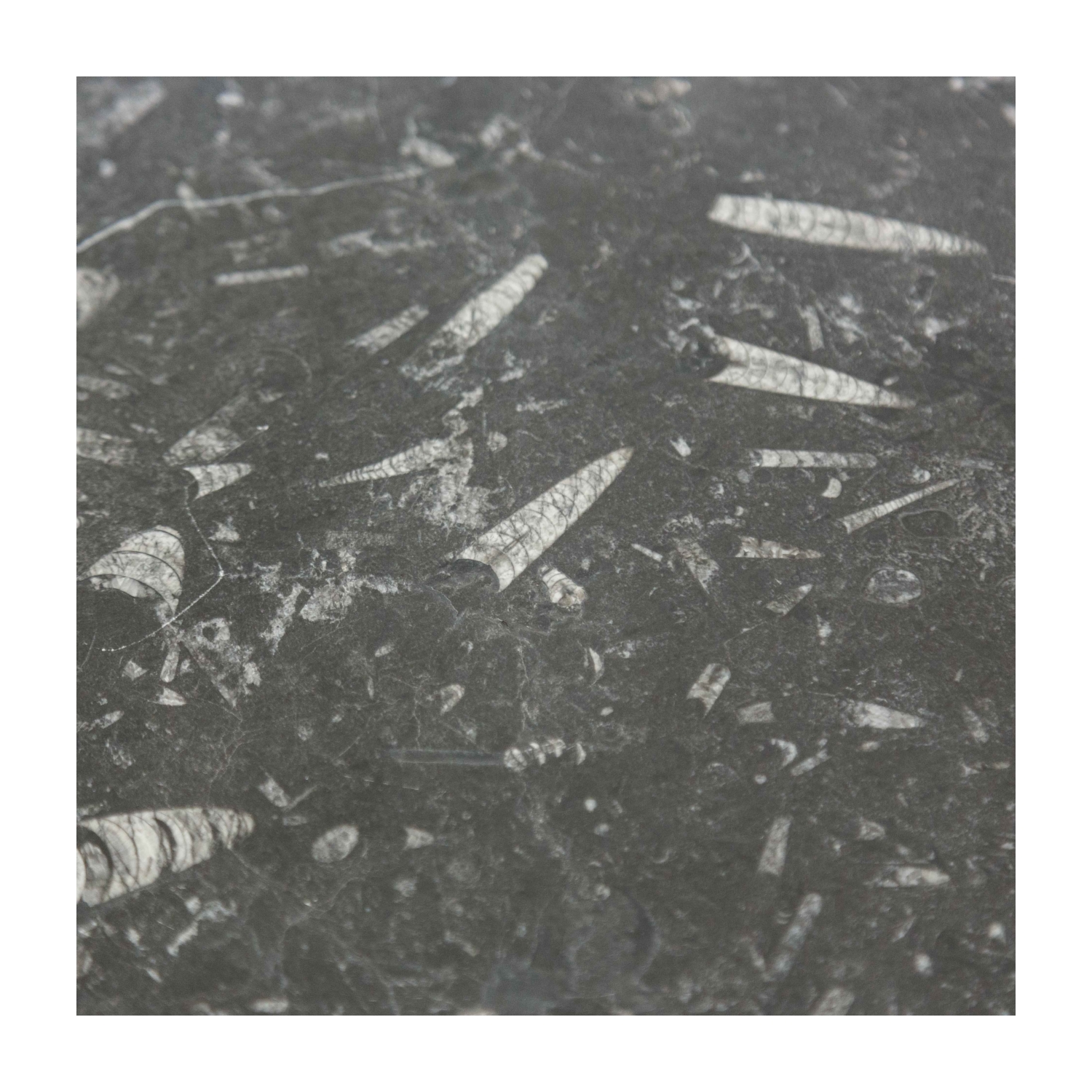 ALL MARBLE 3 AYAKLI FOSSIL SİYAH SEHPA