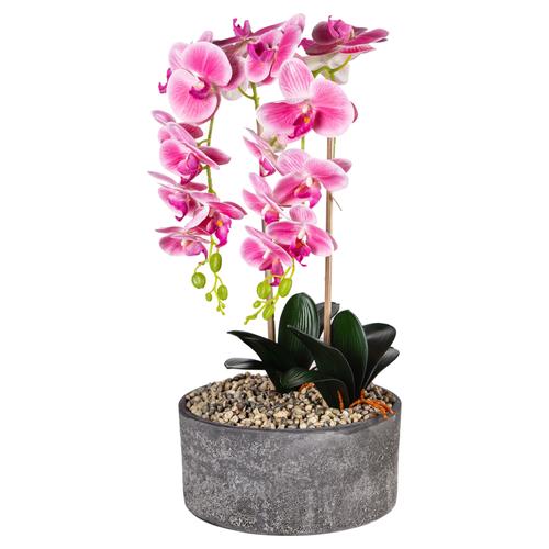  SAKSILI PEMBE ORKİDE 27X70CM