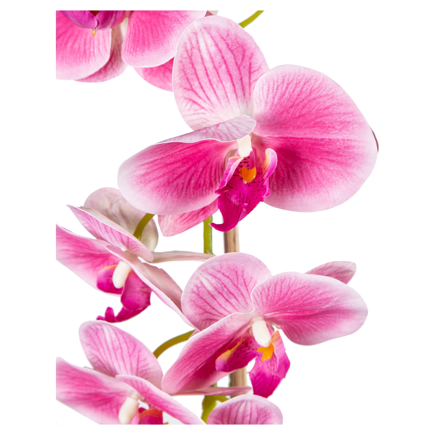 SAKSILI PEMBE ORKİDE 27X70CM