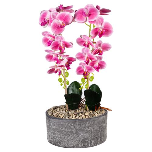  SAKSILI PEMBE ORKİDE 27X70CM